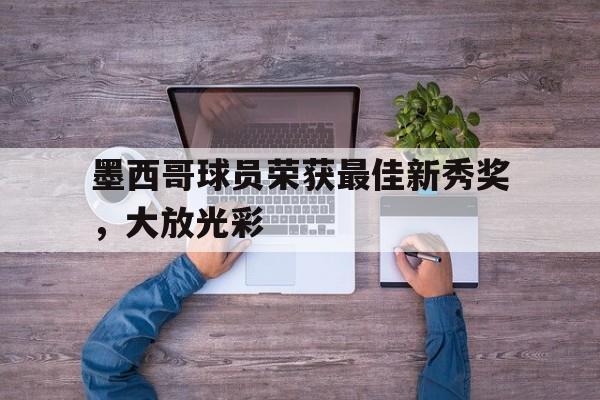 关于墨西哥球员荣获最佳新秀奖，大放光彩的信息